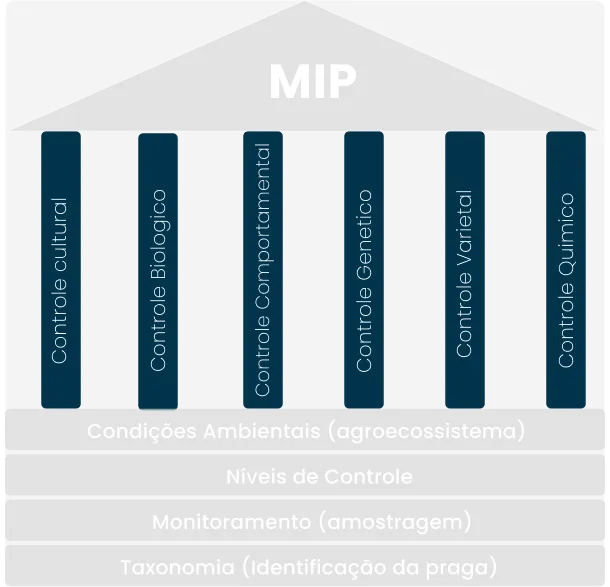 Imagem ilustração para página MIP